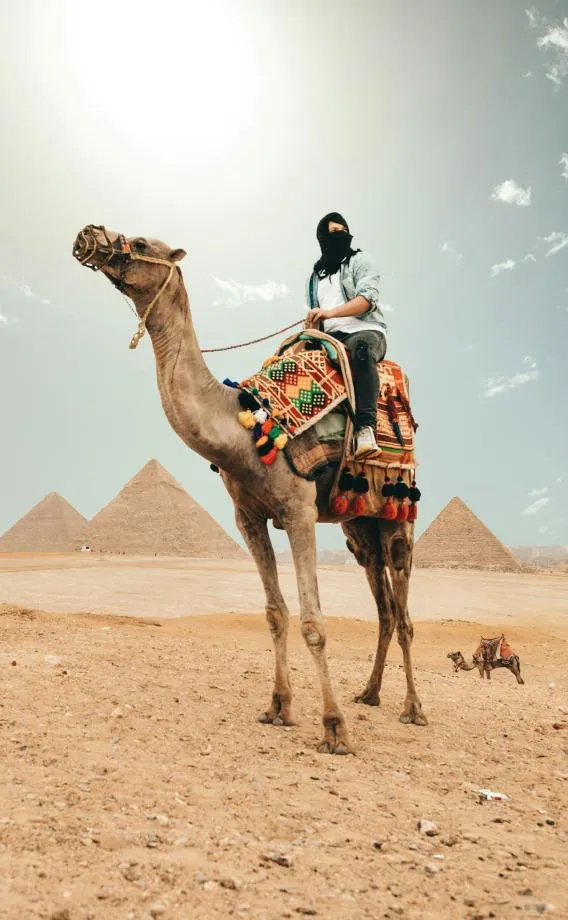 Viajero en un camello frente al las pirámides